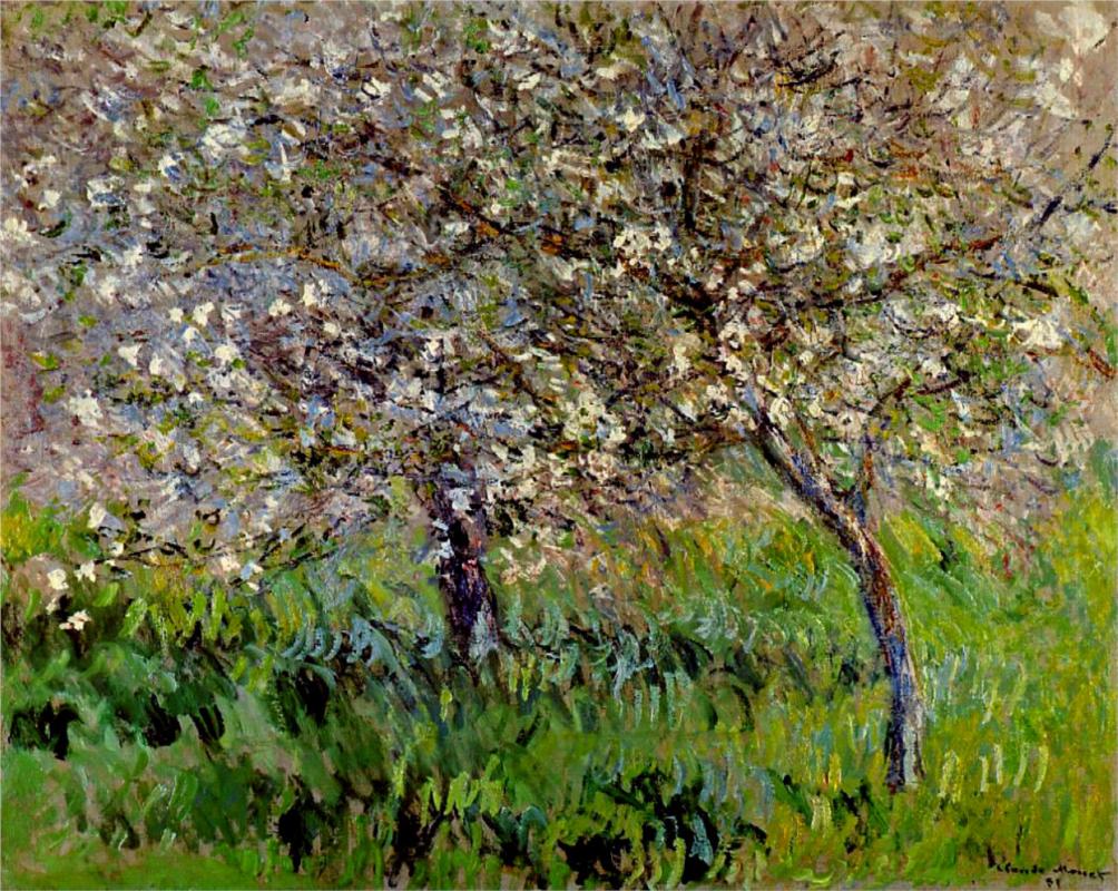 Apple Trees in Bloom at Giverny - Claude Monet Paintings